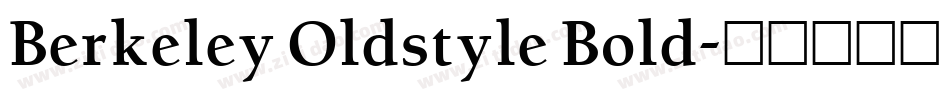 Berkeley Oldstyle Bold字体转换